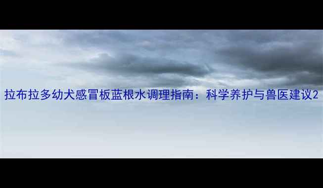 图片 拉布拉多幼犬感冒板蓝根水调理指南：科学养护与兽医建议2
