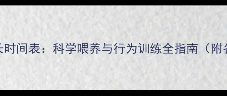 图片 拉布拉多幼犬成长时间表：科学喂养与行为训练全指南（附各阶段护理要点）