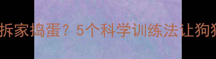 图片 拉布拉多幼犬拆家捣蛋？5个科学训练法让狗狗秒变乖宝宝1