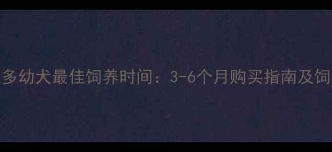 图片 拉布拉多幼犬最佳饲养时间：3-6个月购买指南及饲养要点
