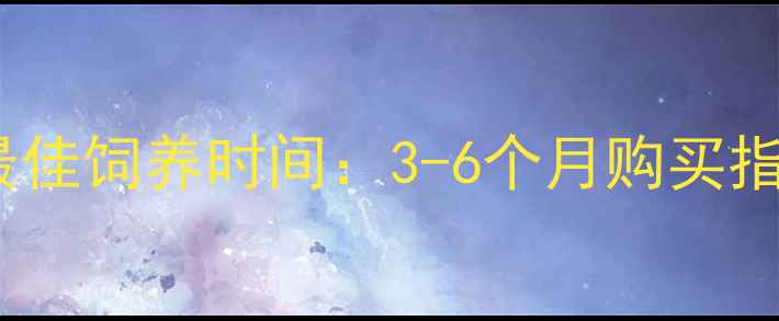 图片 拉布拉多幼犬最佳饲养时间：3-6个月购买指南及饲养要点2