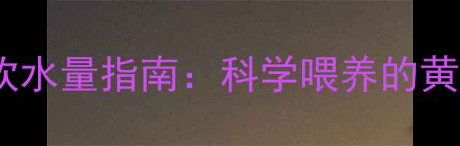图片 拉布拉多幼犬每日饮水量指南：科学喂养的黄金标准与常见误区1
