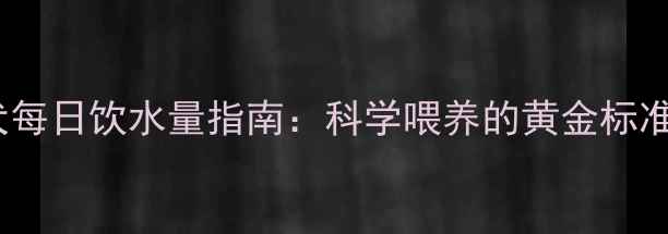 图片 拉布拉多幼犬每日饮水量指南：科学喂养的黄金标准与常见误区2