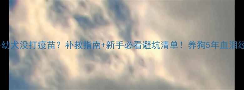 图片 拉布拉多幼犬没打疫苗？补救指南+新手必看避坑清单！养狗5年血泪经验分享2