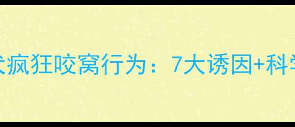 图片 拉布拉多幼犬疯狂咬窝行为：7大诱因+科学应对全攻略
