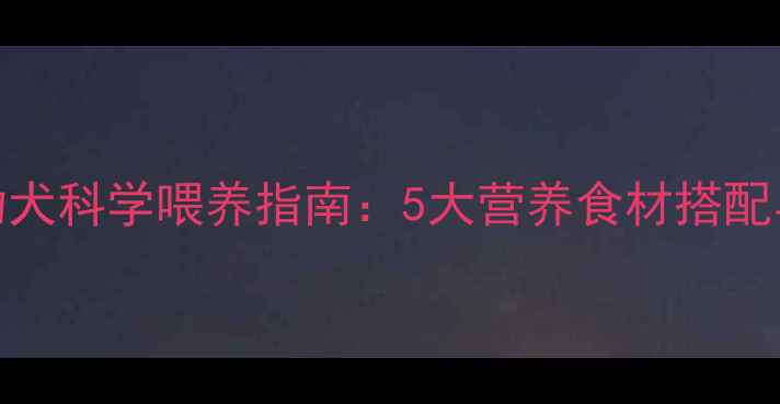 图片 拉布拉多幼犬科学喂养指南：5大营养食材搭配与禁忌清单