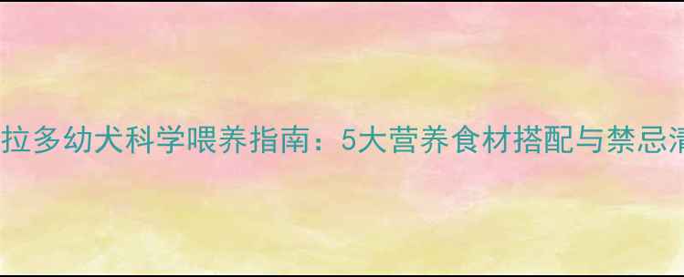 图片 拉布拉多幼犬科学喂养指南：5大营养食材搭配与禁忌清单1
