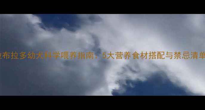 图片 拉布拉多幼犬科学喂养指南：5大营养食材搭配与禁忌清单2