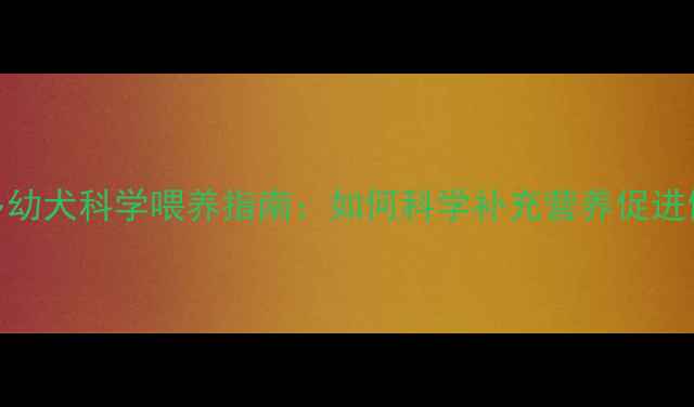 图片 拉布拉多幼犬科学喂养指南：如何科学补充营养促进健康成长