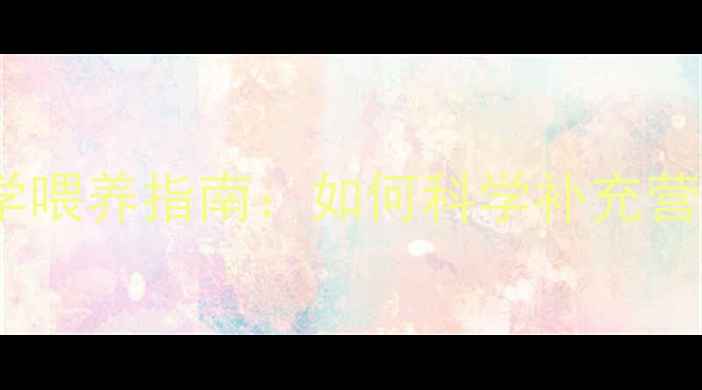 图片 拉布拉多幼犬科学喂养指南：如何科学补充营养促进健康成长1