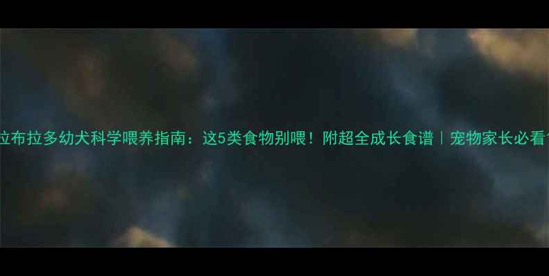 图片 拉布拉多幼犬科学喂养指南：这5类食物别喂！附超全成长食谱｜宠物家长必看1