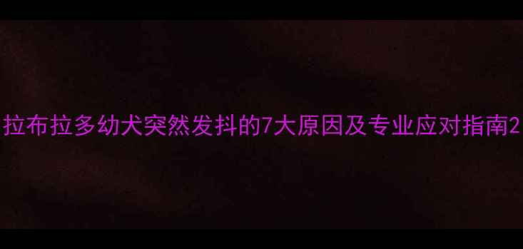 图片 拉布拉多幼犬突然发抖的7大原因及专业应对指南2