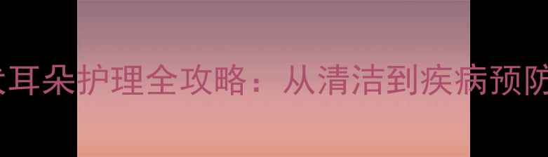 图片 拉布拉多幼犬耳朵护理全攻略：从清洁到疾病预防的实用指南2