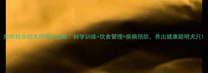 图片 拉布拉多幼犬饲养全攻略：科学训练+饮食管理+疾病预防，养出健康聪明犬只1