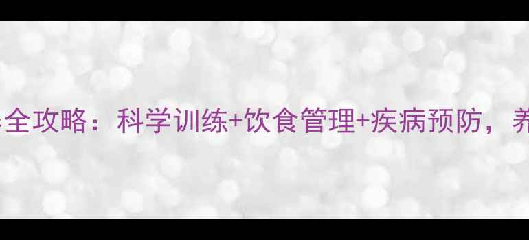 图片 拉布拉多幼犬饲养全攻略：科学训练+饮食管理+疾病预防，养出健康聪明犬只2