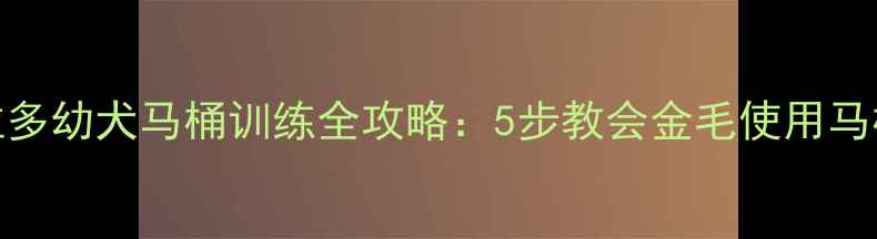 图片 拉布拉多幼犬马桶训练全攻略：5步教会金毛使用马桶技巧