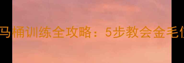 图片 拉布拉多幼犬马桶训练全攻略：5步教会金毛使用马桶技巧2