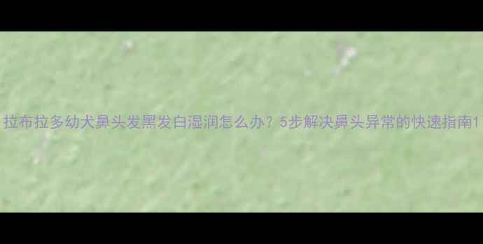 图片 拉布拉多幼犬鼻头发黑发白湿润怎么办？5步解决鼻头异常的快速指南1