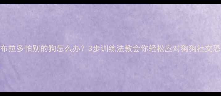 图片 拉布拉多怕别的狗怎么办？3步训练法教会你轻松应对狗狗社交恐惧