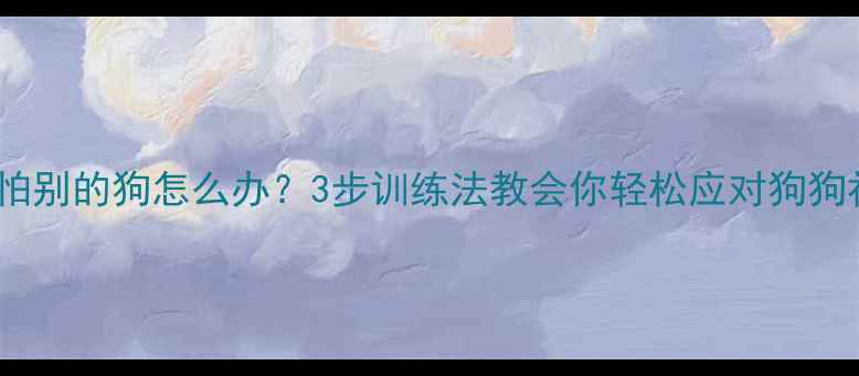 图片 拉布拉多怕别的狗怎么办？3步训练法教会你轻松应对狗狗社交恐惧1