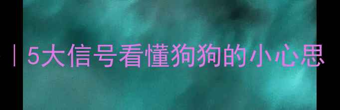 图片 拉布拉多情绪识别全攻略｜5大信号看懂狗狗的小心思（附训练技巧+健康贴士）