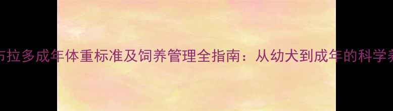 图片 拉布拉多成年体重标准及饲养管理全指南：从幼犬到成年的科学养护