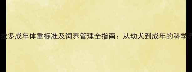 图片 拉布拉多成年体重标准及饲养管理全指南：从幼犬到成年的科学养护1