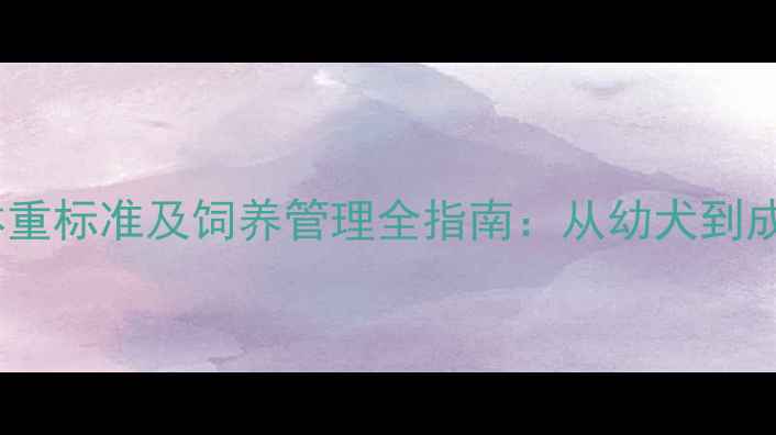 图片 拉布拉多成年体重标准及饲养管理全指南：从幼犬到成年的科学养护2