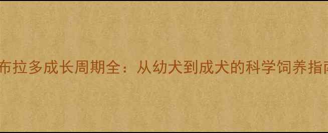 图片 拉布拉多成长周期全：从幼犬到成犬的科学饲养指南1