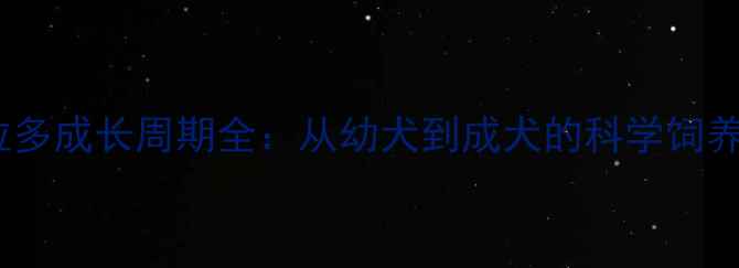 图片 拉布拉多成长周期全：从幼犬到成犬的科学饲养指南2