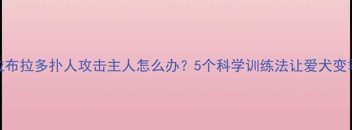 图片 拉布拉多扑人攻击主人怎么办？5个科学训练法让爱犬变乖