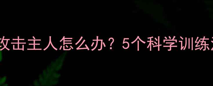 图片 拉布拉多扑人攻击主人怎么办？5个科学训练法让爱犬变乖2