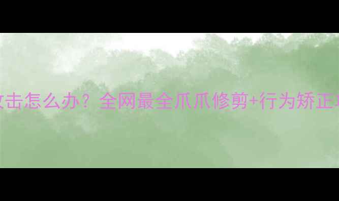 图片 拉布拉多拆家爪子攻击怎么办？全网最全爪爪修剪+行为矫正攻略（附训练视频）