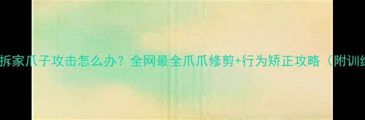 图片 拉布拉多拆家爪子攻击怎么办？全网最全爪爪修剪+行为矫正攻略（附训练视频）1