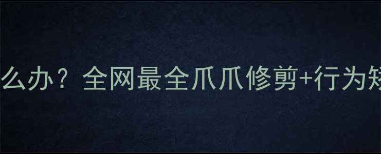 图片 拉布拉多拆家爪子攻击怎么办？全网最全爪爪修剪+行为矫正攻略（附训练视频）2