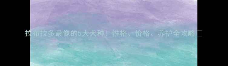 图片 拉布拉多最像的5大犬种！性格、价格、养护全攻略🐾