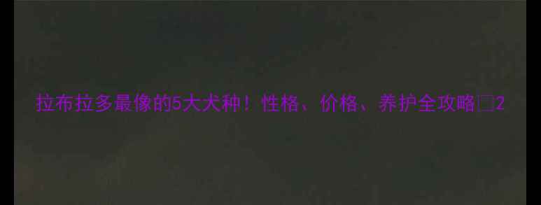 图片 拉布拉多最像的5大犬种！性格、价格、养护全攻略🐾2