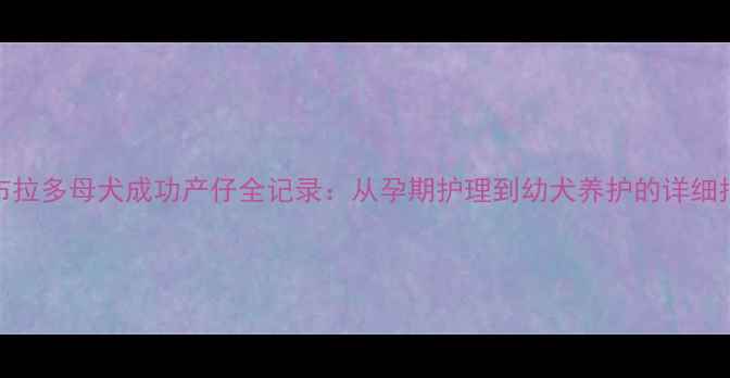 图片 拉布拉多母犬成功产仔全记录：从孕期护理到幼犬养护的详细指南