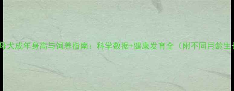 图片 拉布拉多母犬成年身高与饲养指南：科学数据+健康发育全（附不同月龄生长曲线）2