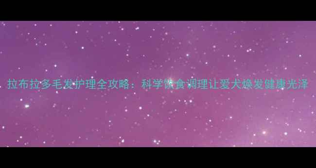 图片 拉布拉多毛发护理全攻略：科学饮食调理让爱犬焕发健康光泽