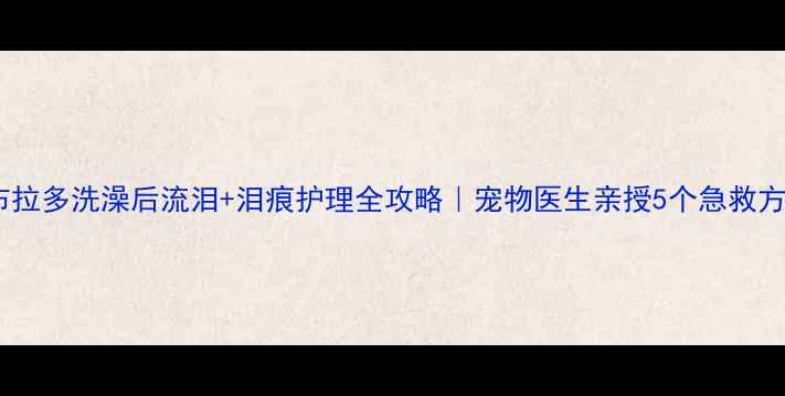 图片 拉布拉多洗澡后流泪+泪痕护理全攻略｜宠物医生亲授5个急救方法2