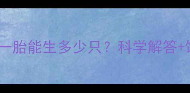 图片 拉布拉多犬一胎能生多少只？科学解答+饲养全攻略1