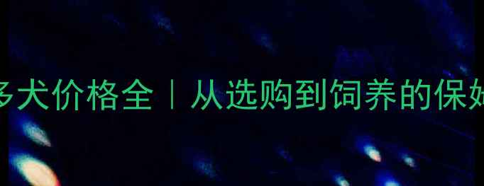 图片 拉布拉多犬价格全｜从选购到饲养的保姆级指南