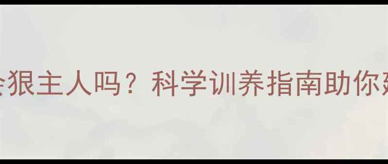 图片 拉布拉多犬会狠主人吗？科学训养指南助你建立和谐关系