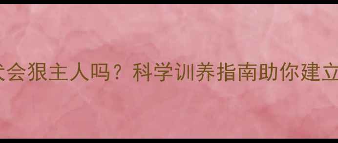 图片 拉布拉多犬会狠主人吗？科学训养指南助你建立和谐关系2