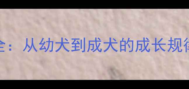 图片 拉布拉多犬体型全：从幼犬到成犬的成长规律与科学饲养指南