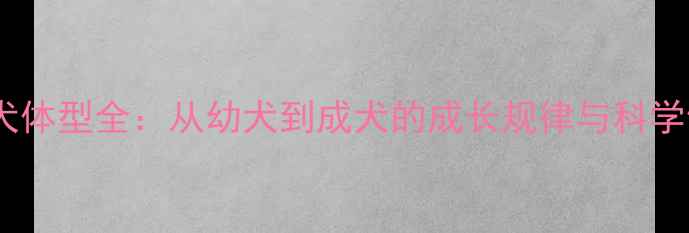 图片 拉布拉多犬体型全：从幼犬到成犬的成长规律与科学饲养指南1