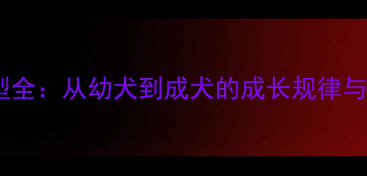 图片 拉布拉多犬体型全：从幼犬到成犬的成长规律与科学饲养指南2
