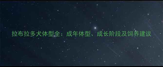 图片 拉布拉多犬体型全：成年体型、成长阶段及饲养建议