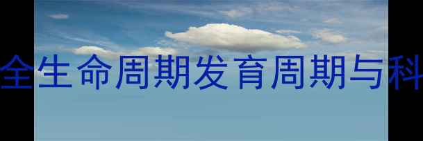 图片 拉布拉多犬全生命周期发育周期与科学饲养指南